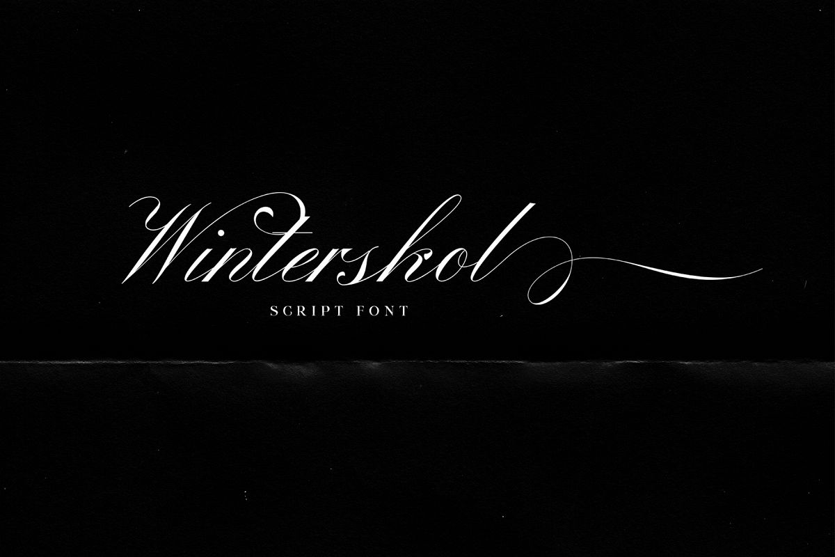 Winterskol Script font example image 1