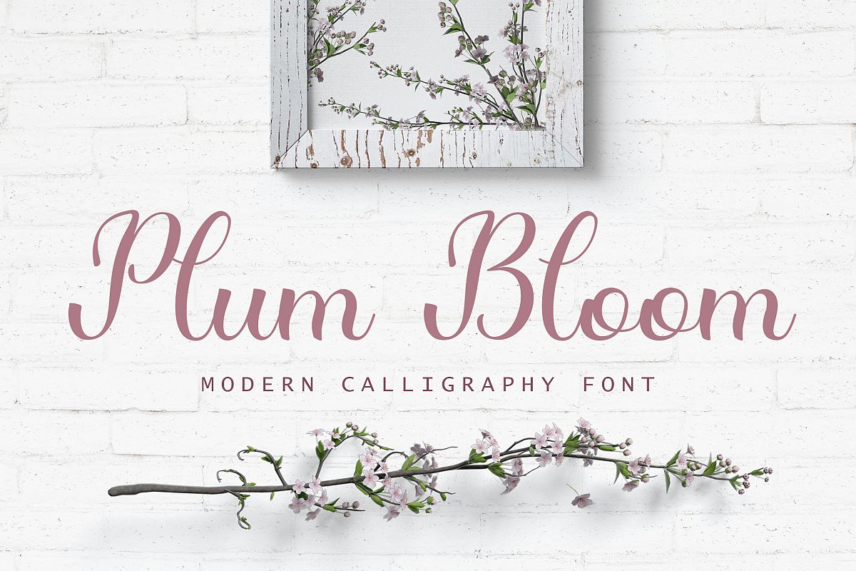 Plum Bloom - handwritten calligraphy font example image 1