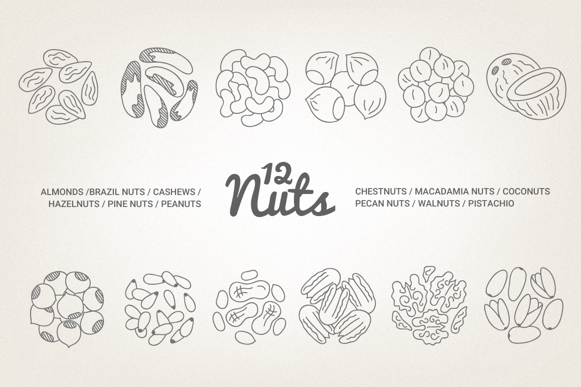 12 Nuts - Illustration & Patterns example image 1