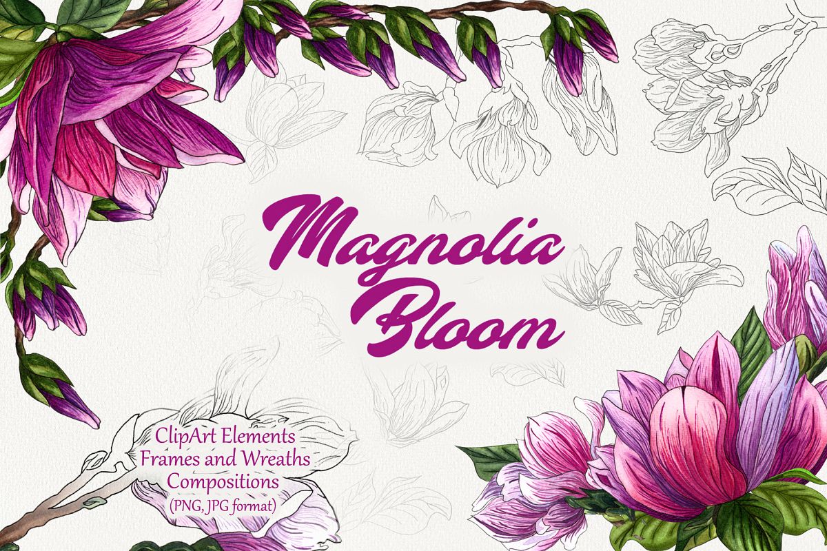 Magnolia Bloom example image 1