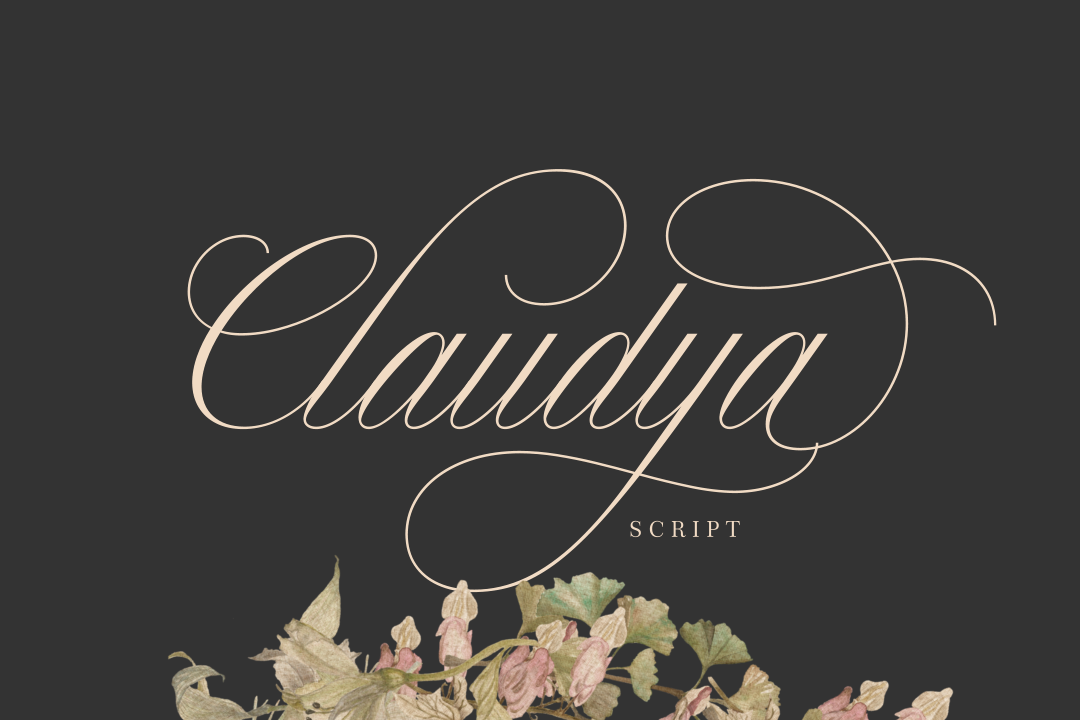 Claudya Script example image 1