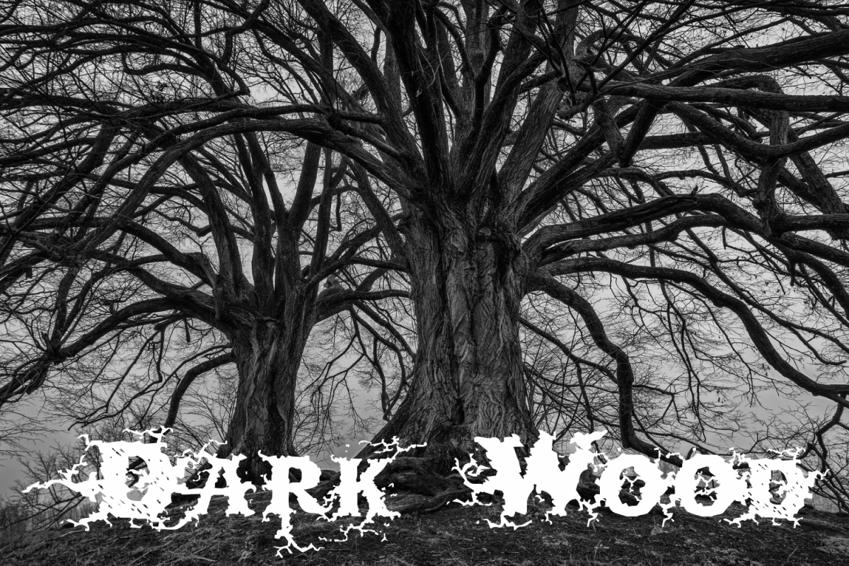 Dark Wood (family pack) example image 1