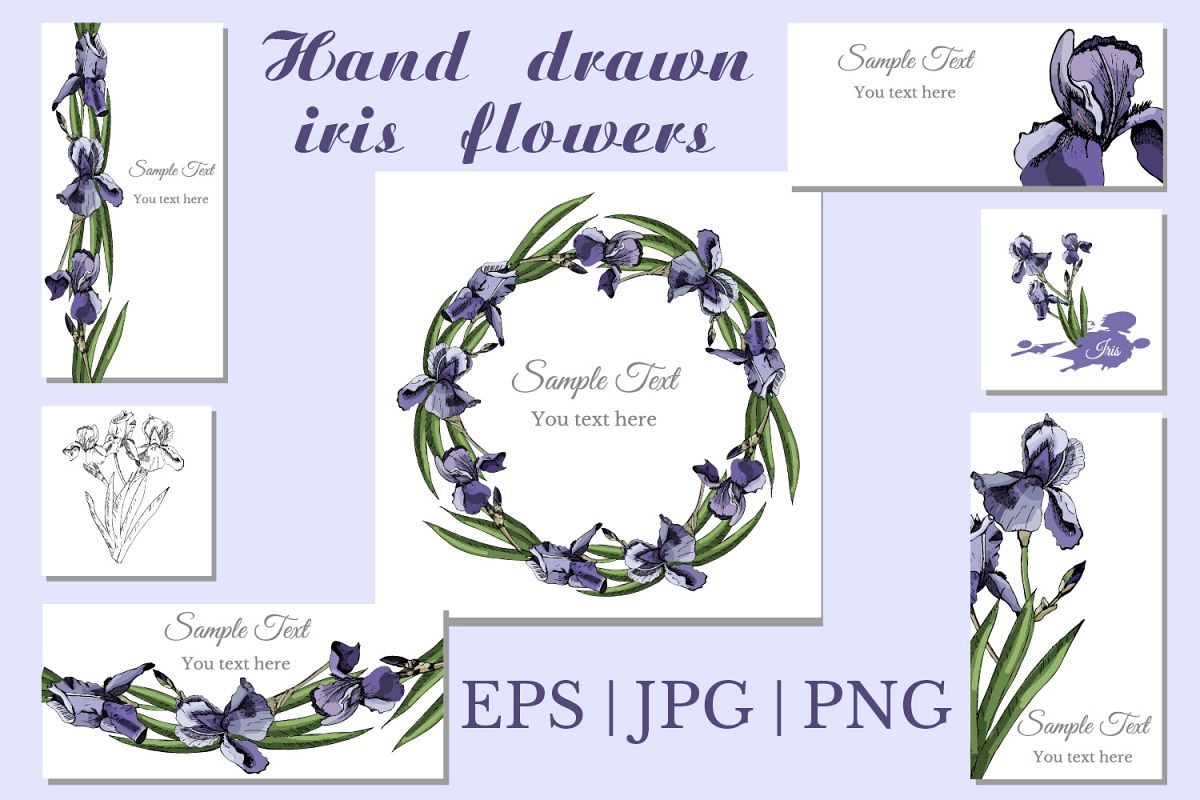 Collection with sketches of iris flowers and seamless patterns. example image 1