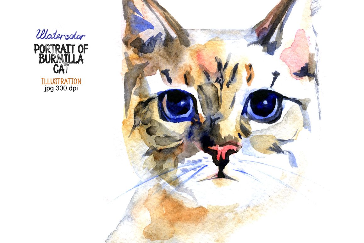 Watercolor portrait of Burmilla cat example image 1