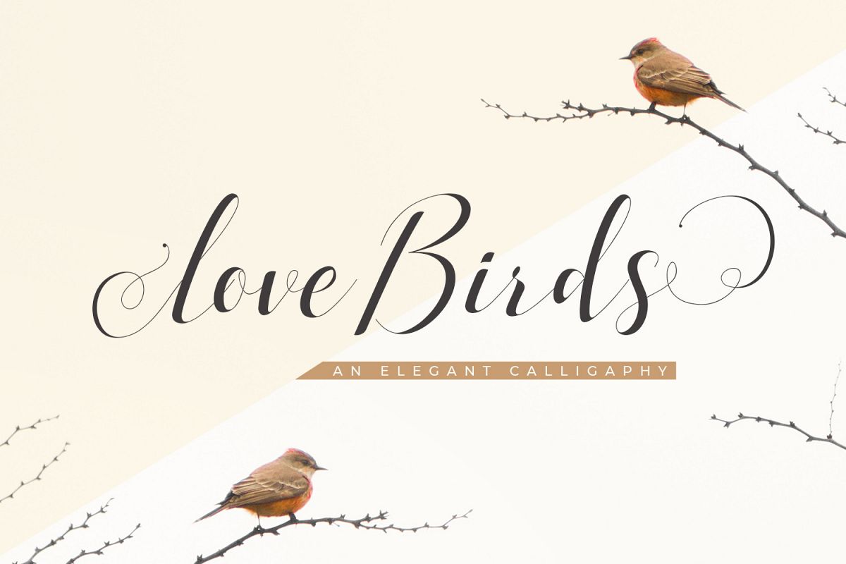 Love Birds example image 1