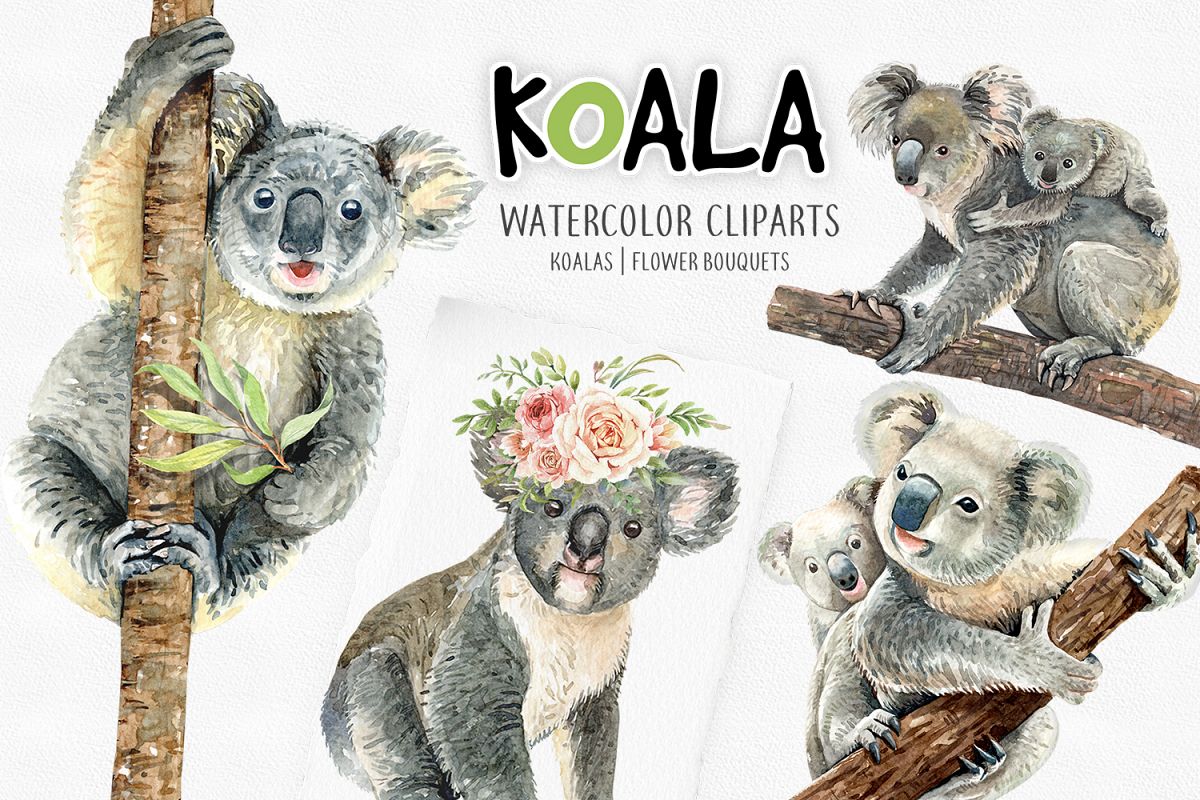 Koala. Animals watercolor clipart. example image 1