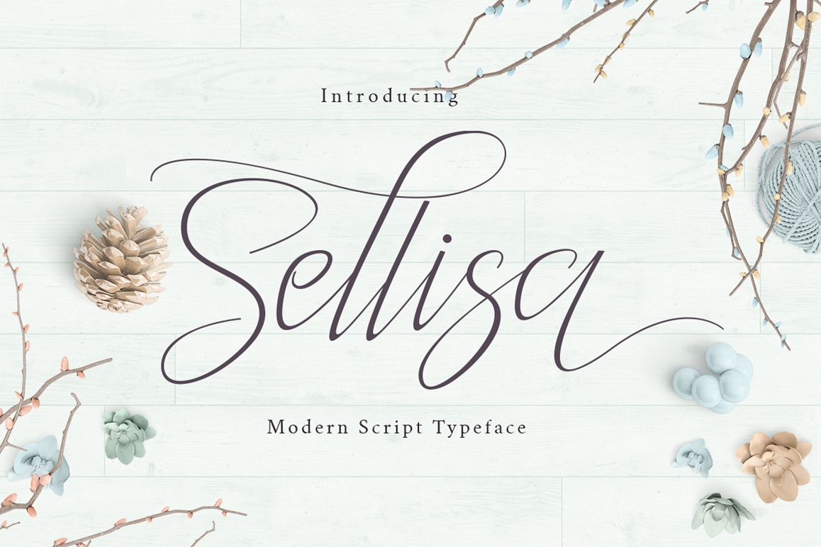 Sellisa Script example image 1