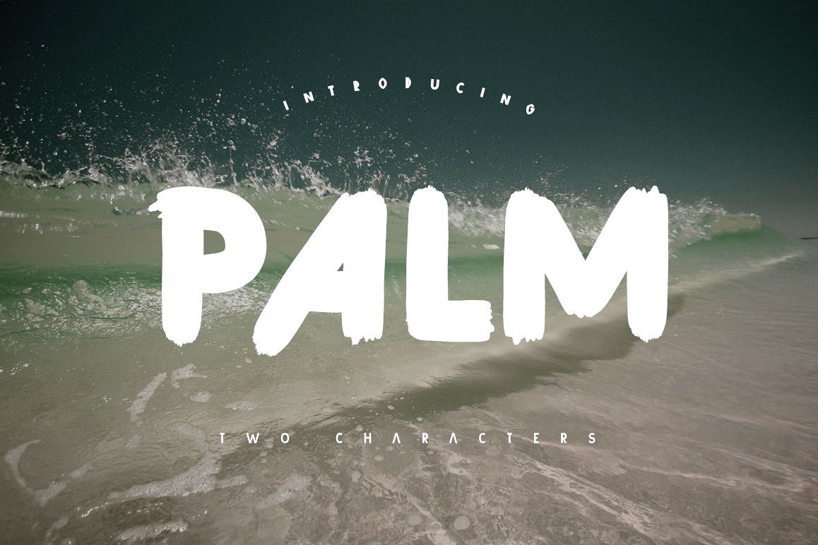 Palm Brush Font example image 1