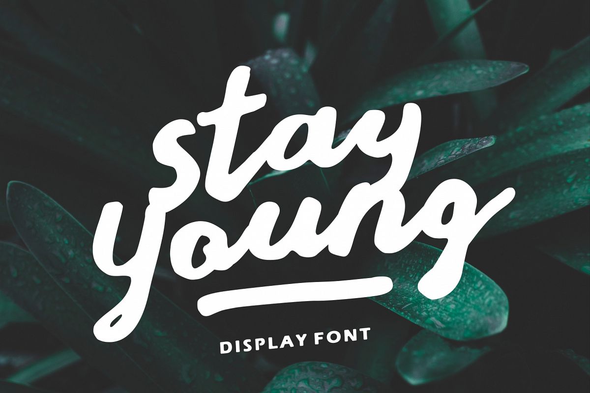 Stay Young - A Display Font example image 1