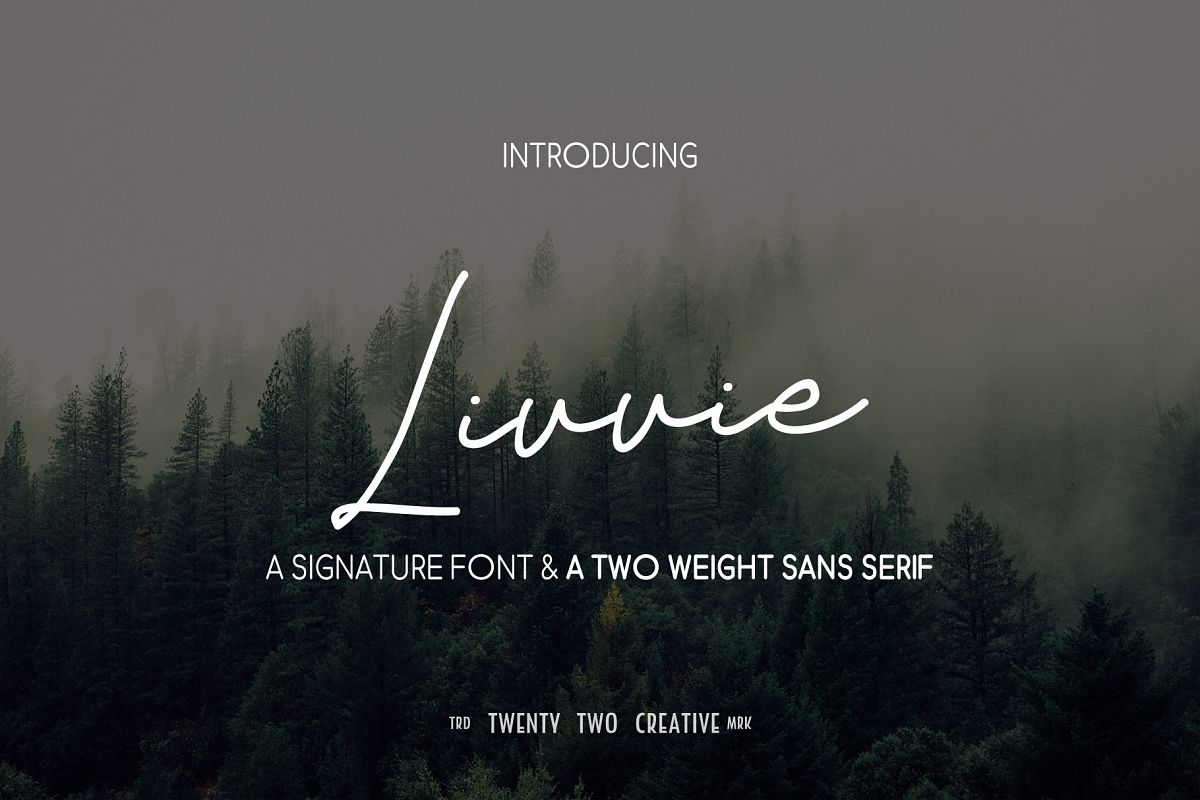 Livvie Signature and Sans Font Duo example image 1