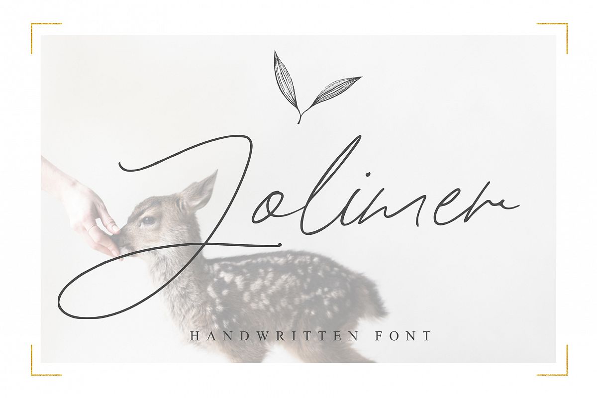 Jolimer example image 1