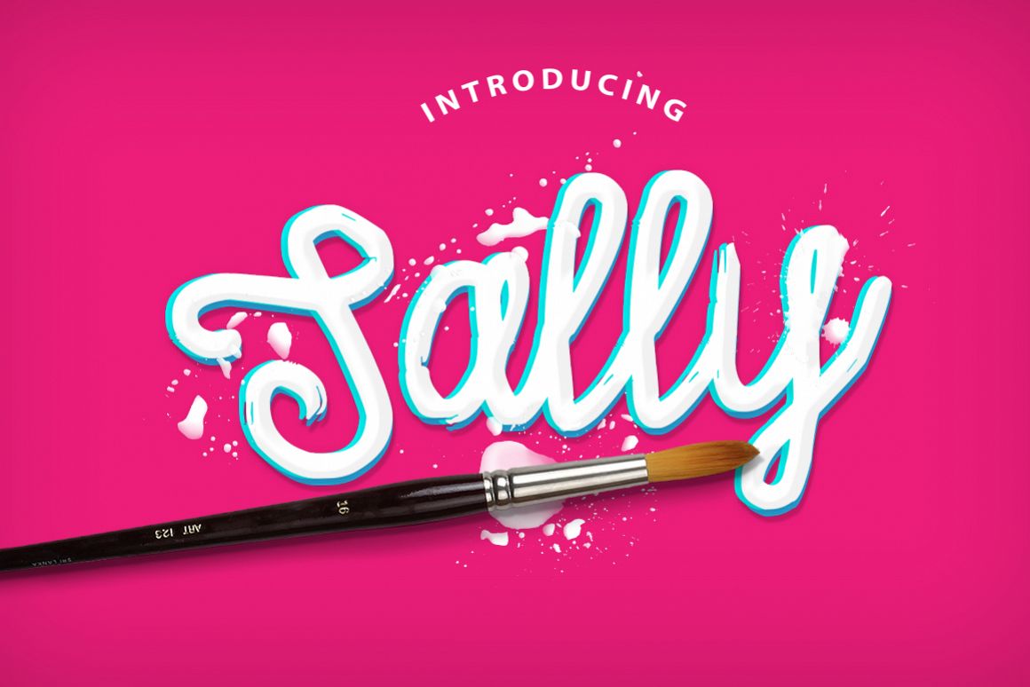 Sally Script example image 1