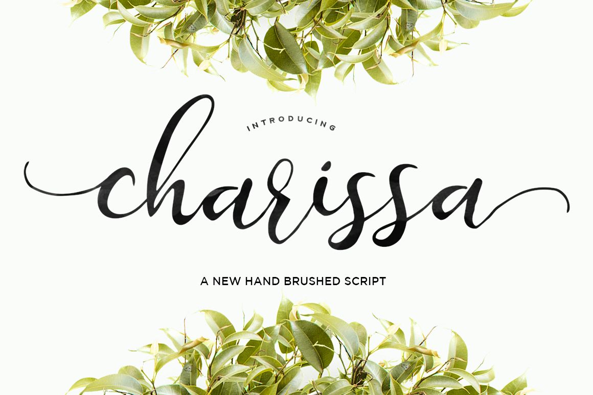Charissa Script example image 1
