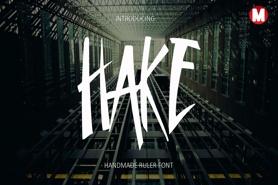 Hake example image 1