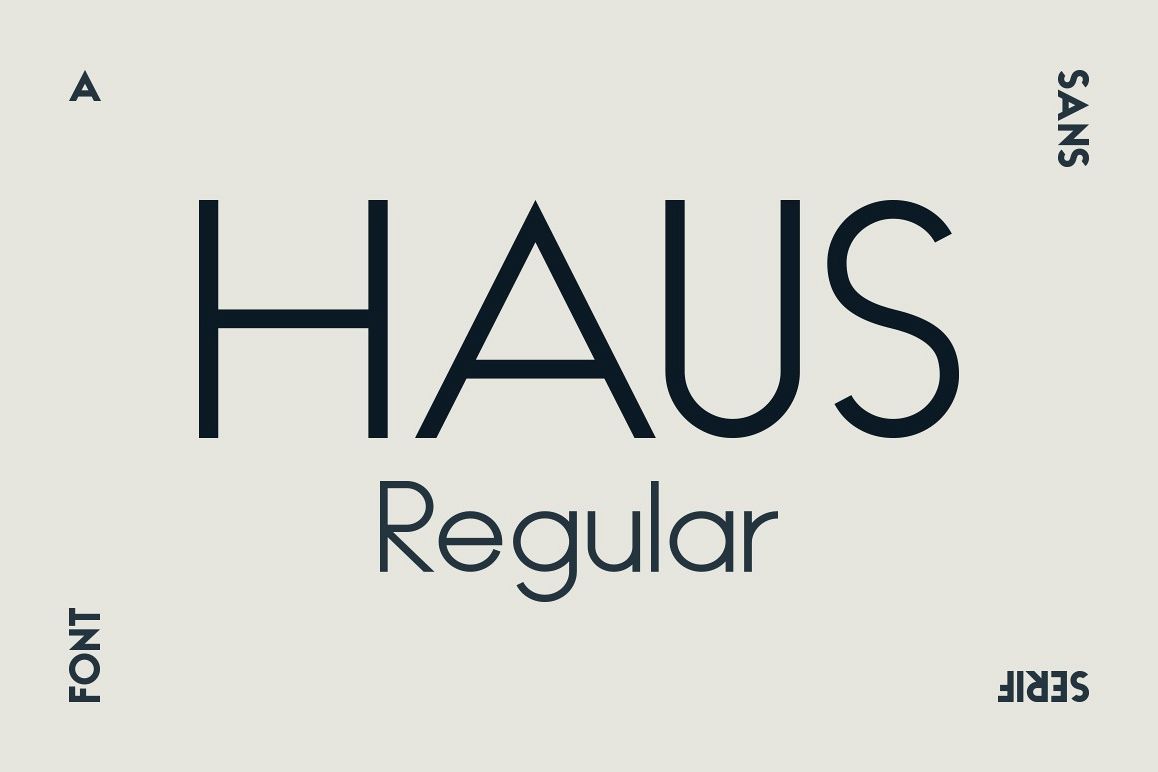 HAUS Sans Regular example image 1