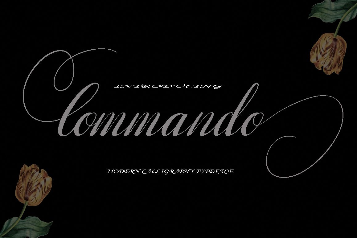 Commando example image 1