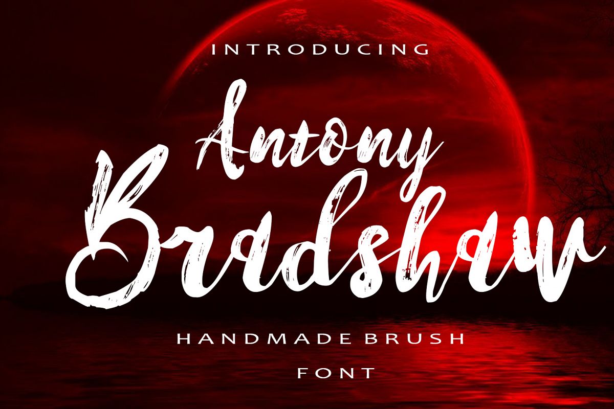 Antony Bradshaw example image 1