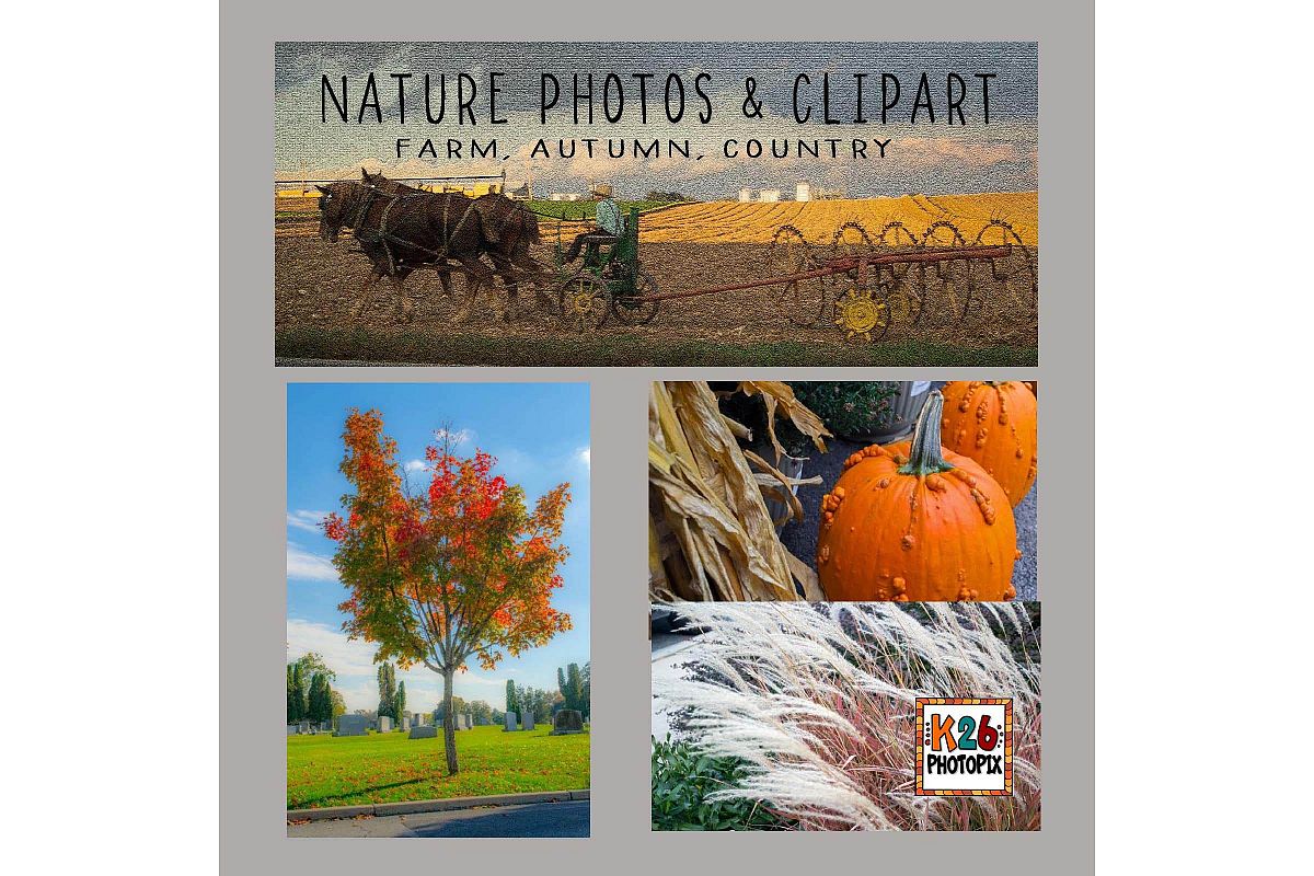 Country, Farm, Autumn/Fall Photos