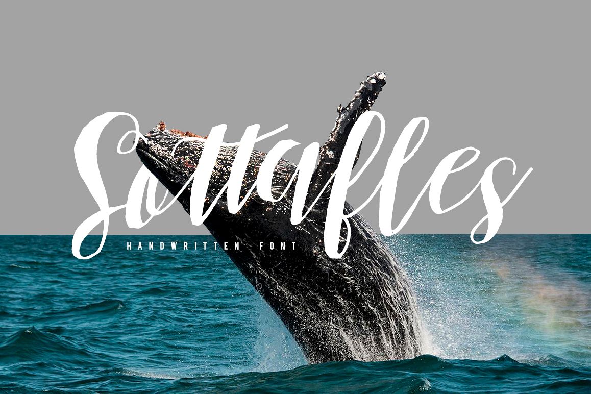 Free Sottafles Typeface Swashes Script Fonts