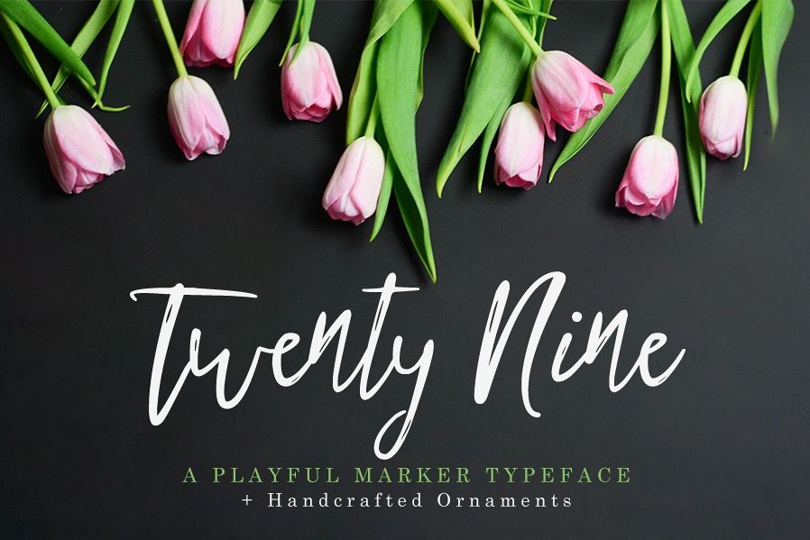Twenty Nine Cover
