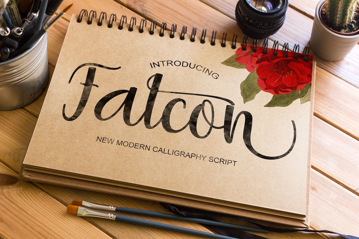 Falcon (174801) | Script | Font Bundles