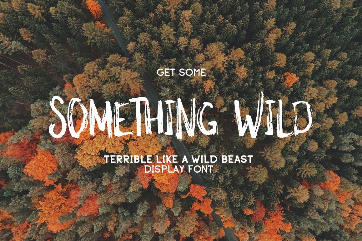 Something Wild example image 1