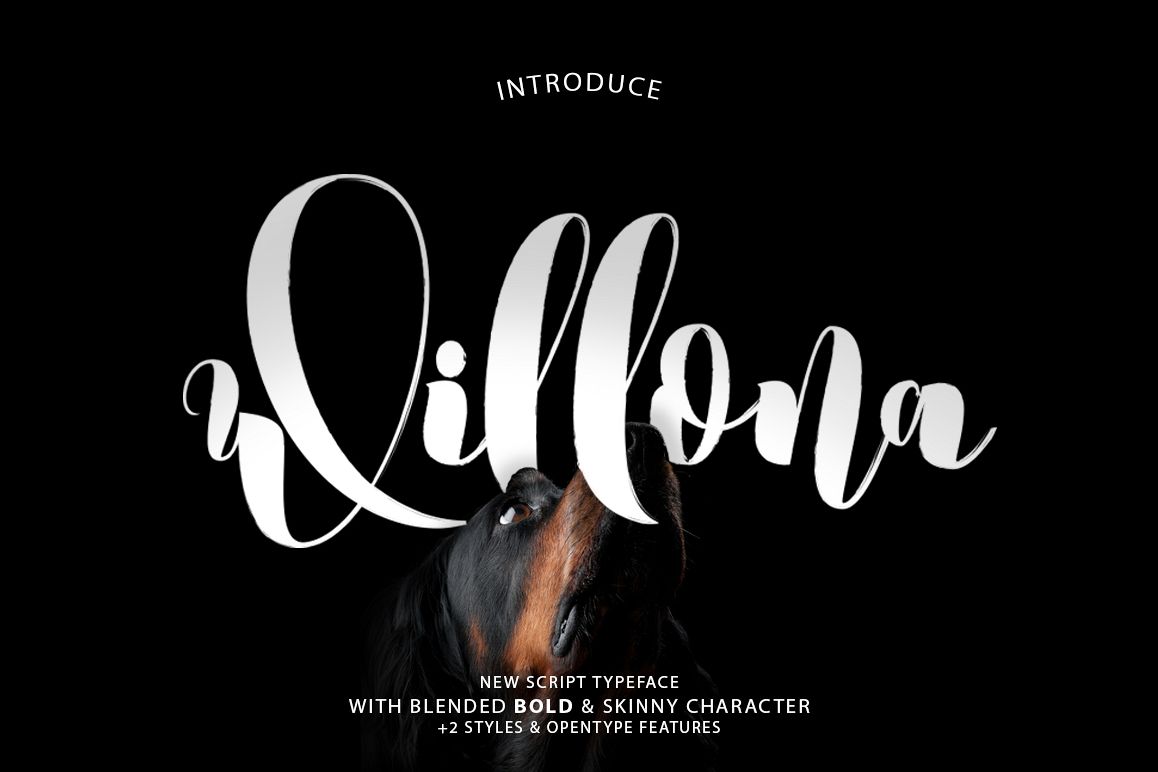Willona Typeface example image 1