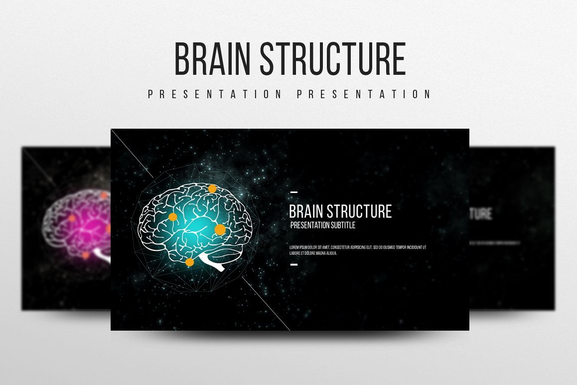 Brain Structure PPT example image 1