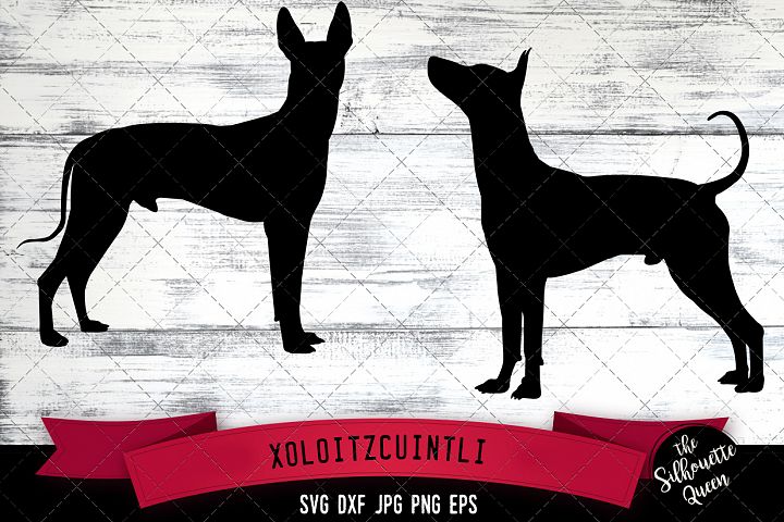 Download Xoloitzcuintli SVG Files, Dog Svg, Silhouette File (267756 ...