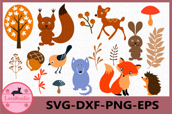 Download Forest Animals Svg, Woodland Animals Frames SVG, Animal Svg (239453) | SVGs | Design Bundles