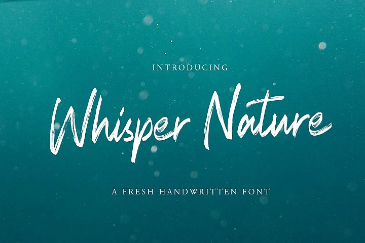 Whisper Nature Brush Script Font