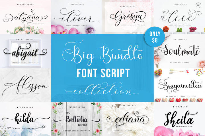 Special Fonts Bundle