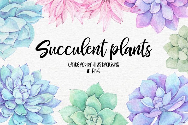Succulent plants. Watercolor set