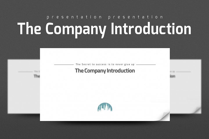 company introduction presentation example