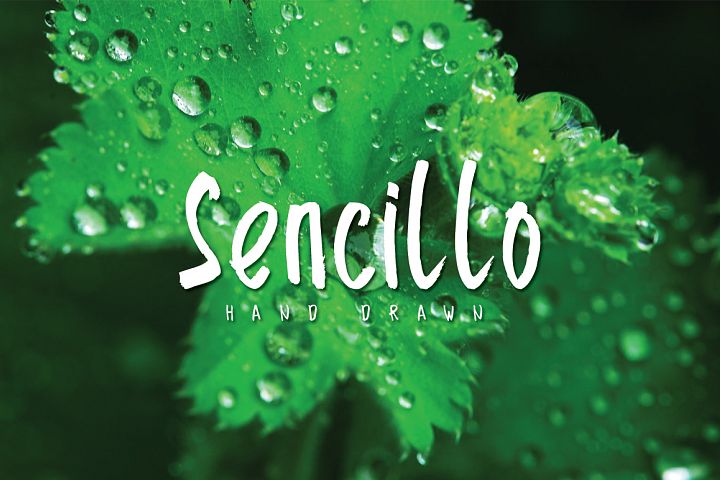 Sencillo Hand Drawn