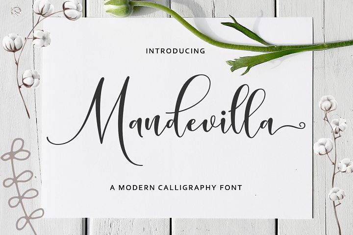 Mandevilla Script