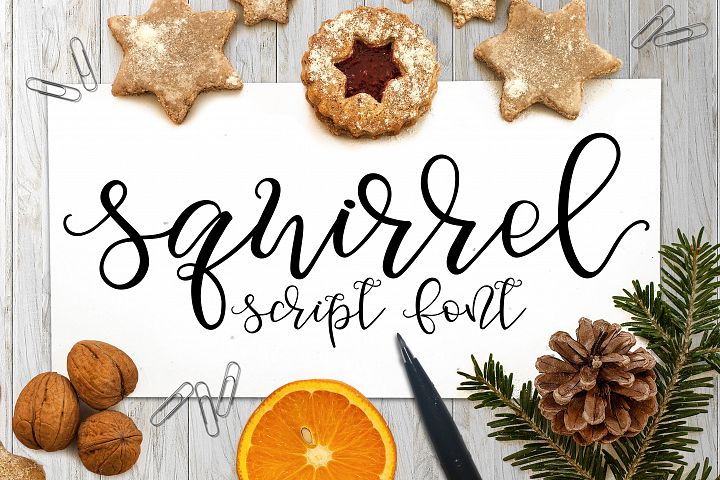 Download Squirrel Script Font 46998 Script Font Bundles