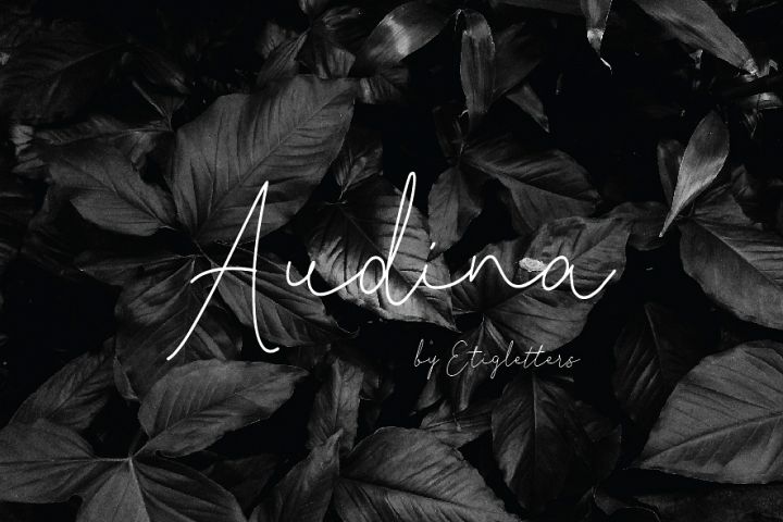 Audina