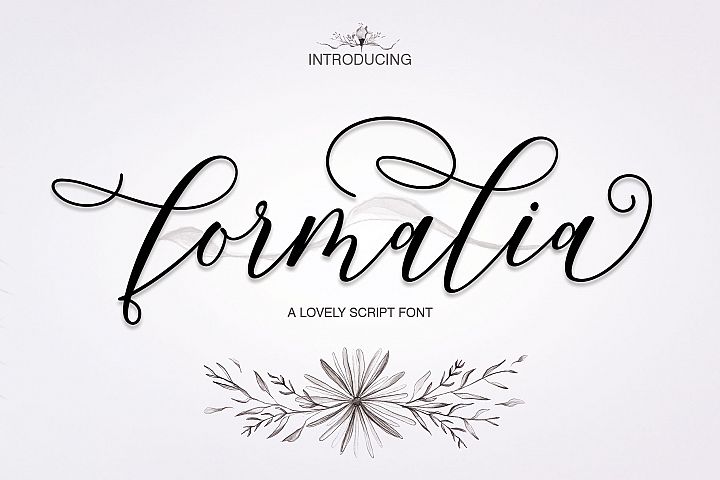 Hasty Elegant Font