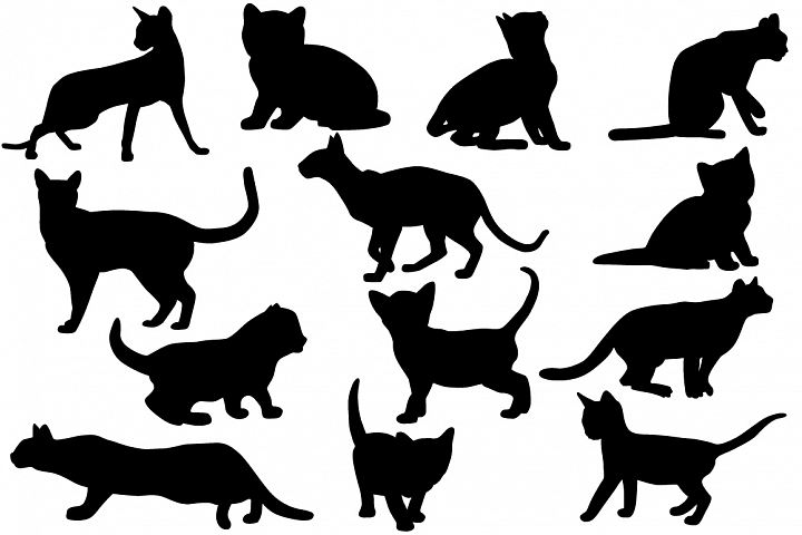 Silhouettes of cats (53231) | Illustrations | Design Bundles