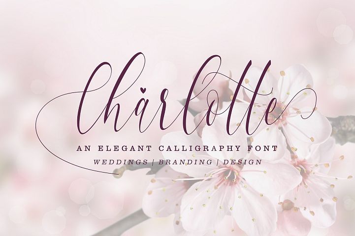 Charlotte Calligraphy Font