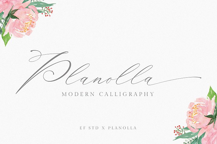 Planolla | Modern Calligraphy