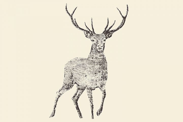 Deer illustration (2830) | Illustrations | Design Bundles