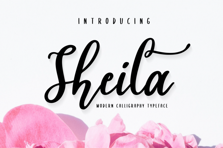 Sheila Script
