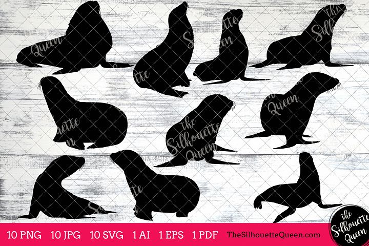 Sea Lion Silhouette Clipart Clip Art (AI, EPS, SVGs, JPGs, PNGs, PDF