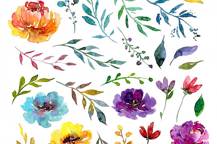 Watercolor Bright Summer Flowers PNG Collection