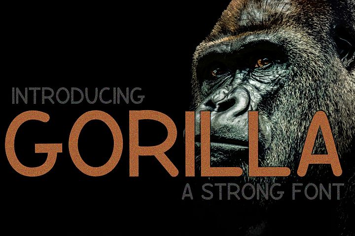 Gorilla 