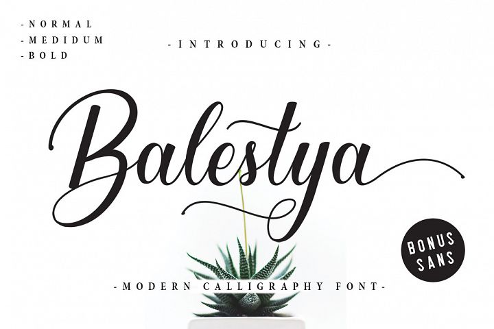 Balestya Script 40 OFF