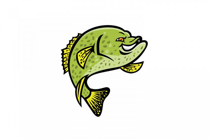 Crappie Fish Mascot (139044) | Illustrations | Design Bundles