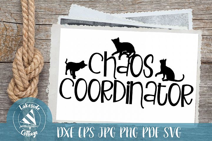 Cat Chaos Coordinator - Cat Lover SVG Design (223701) SVGs Design Bundles.